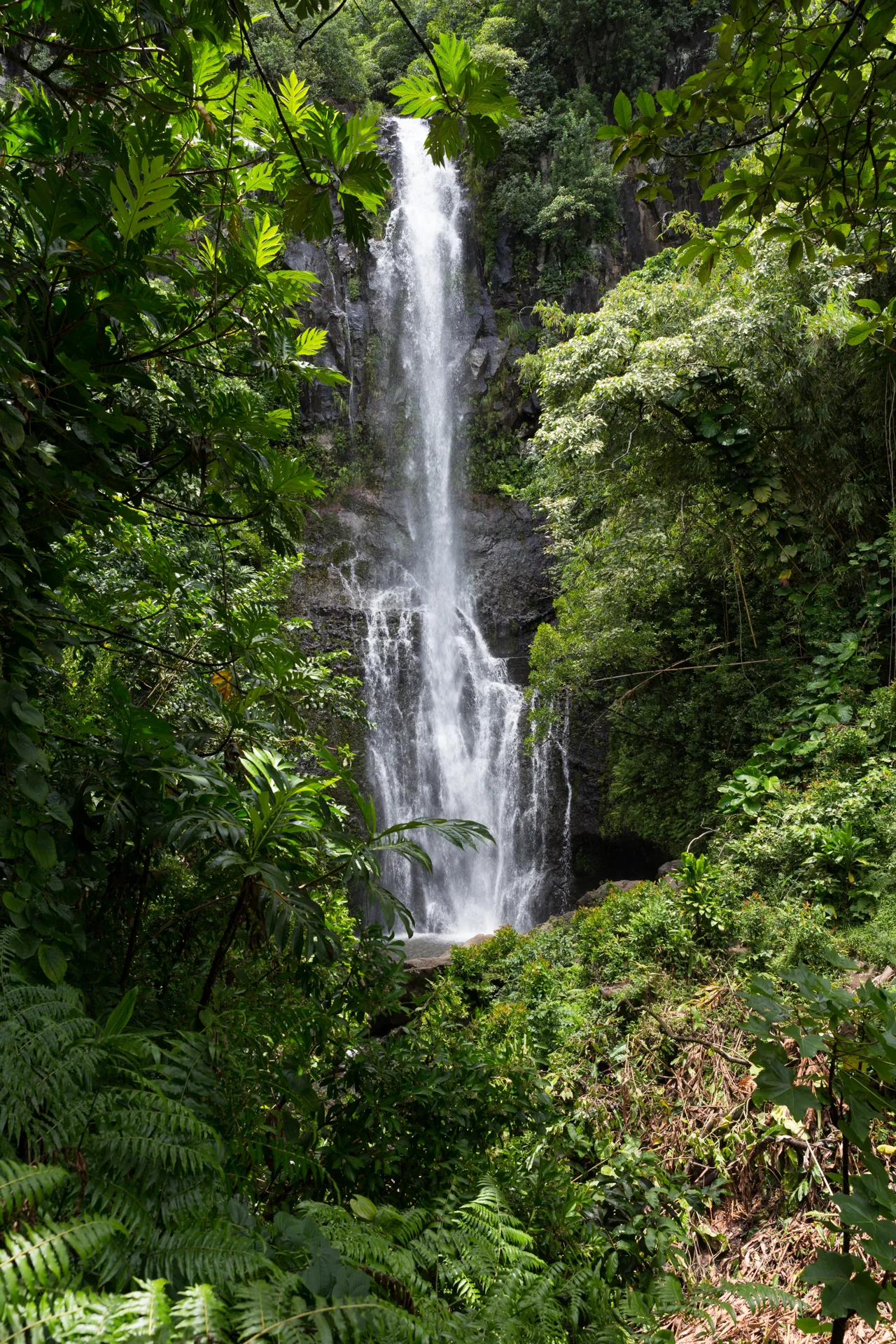 Wailua Falls cascading through tropical vegetation in East Maui.